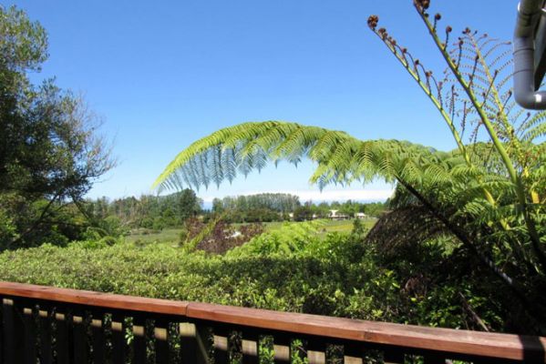 HotelNeuseelandNelsonAbel Tasman National ParkAbel Tasman Ocean View Balkon