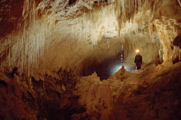 NeuseelandWaitomo Hoehle