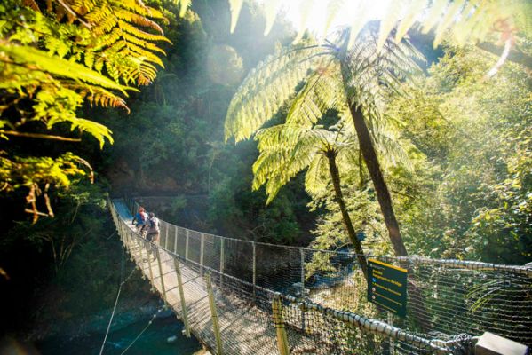 NeuseelandWhakatane Wald Motu Trails