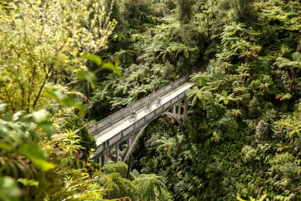 NeuseelandWhanganui National Park Bruecke